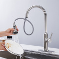 Brush Nickel Chrome Flexible Kitchen Faucet